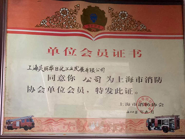 消防协会会员证书2003